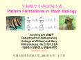 ?????????? Pattern Formations in Math Biology PowerPoint PPT Presentation