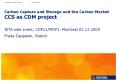 Carbon Capture and Storage and the Carbon Market CCS as CDM project PowerPoint PPT Presentation