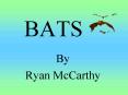 BATS PowerPoint PPT Presentation