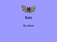 Bats PowerPoint PPT Presentation