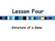 Lesson Four