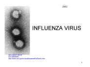 INFLUENZA VIRUS