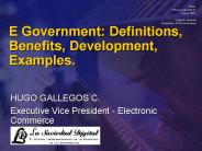 E Government: Definitions, Benefits, Development, Examples.