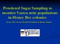 Powdered Sugar Sampling to monitor Varroa mite populations in Honey Bee colonies Dewey M' Caron, Eli PowerPoint PPT Presentation