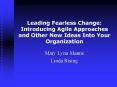 Leading Fearless Change: Introducing Agile Approaches and Other New Ideas Into Your Organization PowerPoint PPT Presentation