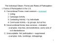 The Individual Citizen: Forms and Rates of Participation PowerPoint PPT Presentation