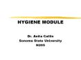 HYGIENE MODULE PowerPoint PPT Presentation