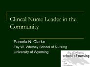 Clincal Nurse Leader in the Community
