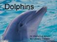 Dolphins PowerPoint PPT Presentation