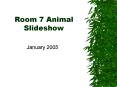 Room 7 Animal Slideshow PowerPoint PPT Presentation