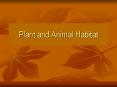 Plant and Animal Habitat PowerPoint PPT Presentation