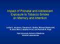 Impact of Prenatal and Adolescent PowerPoint PPT Presentation