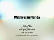 Wildfires in Florida