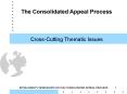 CrossCutting Thematic Issues PowerPoint PPT Presentation