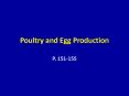 Poultry and Egg Production PowerPoint PPT Presentation