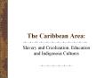 The Caribbean Area: PowerPoint PPT Presentation