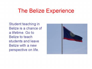 The Belize Experience