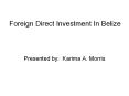Foreign Direct Investment In Belize PowerPoint PPT Presentation