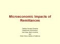 Microeconomic Impacts of Remittances PowerPoint PPT Presentation