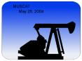 CASE PRESENTATION PETROVALVE ARTIFICIAL LIFT MARMUL OMAN Muscat May 26, 2004 PowerPoint PPT Presentation