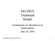 MATRIX Treatment Model