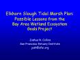Elkhorn Slough Tidal Marsh Plan: Possible Lessons from the Bay Area Wetland Ecosystem Goals Project PowerPoint PPT Presentation
