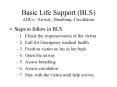 Basic Life Support BLS ABCs Airway, Breathing, Circulation PowerPoint PPT Presentation