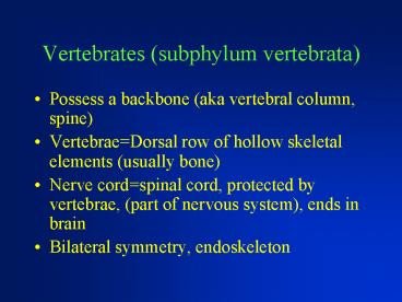 Vertebrates subphylum vertebrata