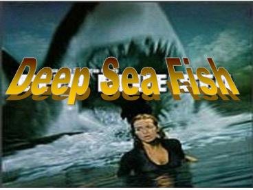 Deep Sea Fish