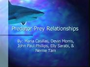 Predator-Prey Relationships