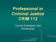 Professional%20in%20Criminal%20Justice%20CRIM%20112