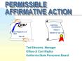 PERMISSIBLE AFFIRMATIVE ACTION PowerPoint PPT Presentation