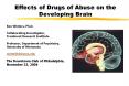 Effects of Drugs of Abuse on the Developing Brain PowerPoint PPT Presentation