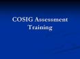 COSIG Assessment Training PowerPoint PPT Presentation