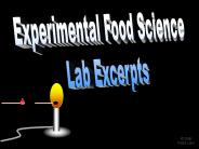 Experimental Food Science