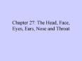 Chapter 27: The Head, Face, Eyes, Ears, Nose and Throat PowerPoint PPT Presentation