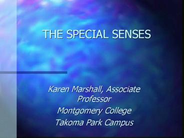 THE SPECIAL SENSES