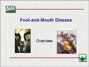 FootandMouth Disease