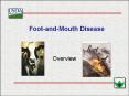 FootandMouth Disease PowerPoint PPT Presentation