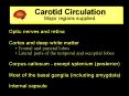 Carotid Circulation PowerPoint PPT Presentation