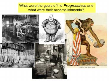 What were the goals of the Progressives and