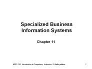 Specialized Business Information Systems