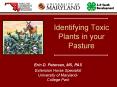Identifying Toxic Plants in your Pasture PowerPoint PPT Presentation
