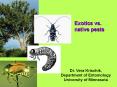 Exotics vs. native pests PowerPoint PPT Presentation