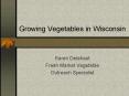 Growing Vegetables in Wisconsin PowerPoint PPT Presentation
