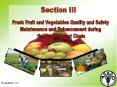 Fresh Fruit and Vegetables Quality and Safety PowerPoint PPT Presentation