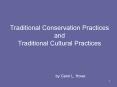 Traditional Conservation Practices and Traditional Cultural Practices PowerPoint PPT Presentation