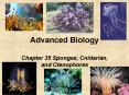 Advanced Biology PowerPoint PPT Presentation