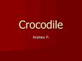 Crocodile PowerPoint PPT Presentation