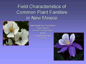 Field Characteristics of Common Plant Families in New Mexico